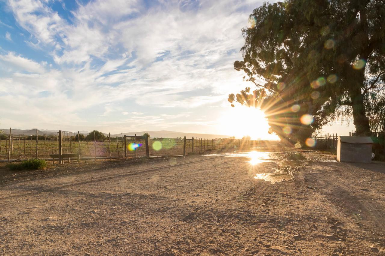 Welgeluk Cottage Oudtshoorn Dış mekan fotoğraf